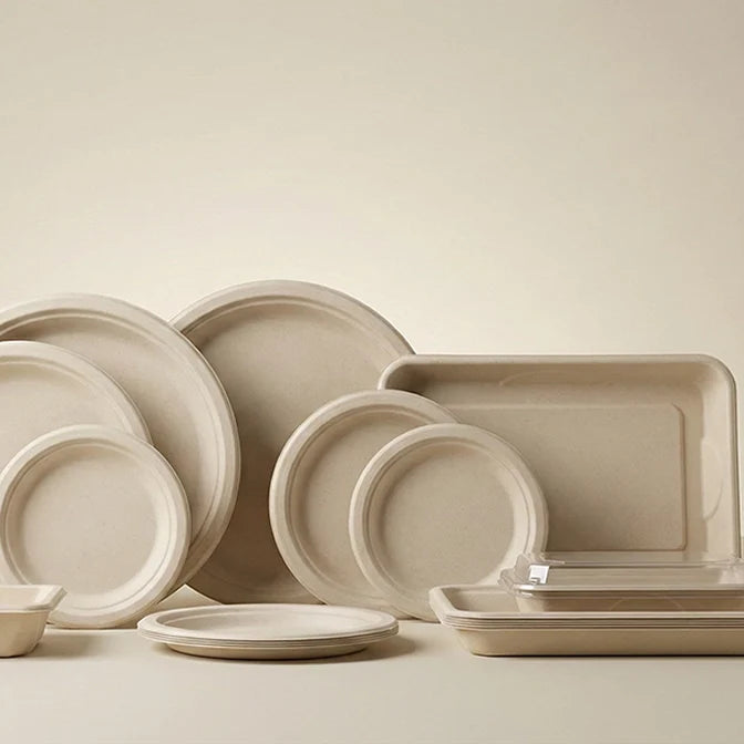 Plates & Trays