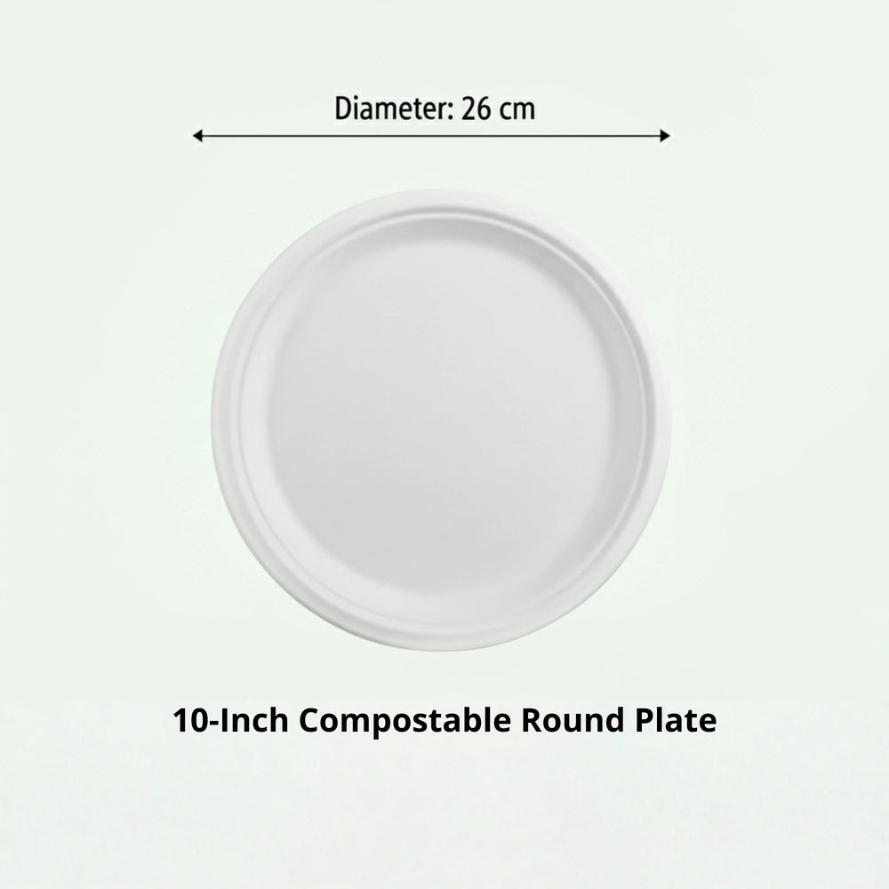 10" White Round Plate, Sugarcane Bagasse, 260 x 20 mm (500 pcs) - Suitable for Restaurants & Catering