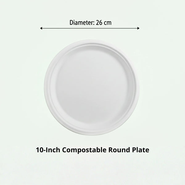10" White Round Plate, Sugarcane Bagasse, 260 x 20 mm (500 pcs) - Suitable for Restaurants & Catering