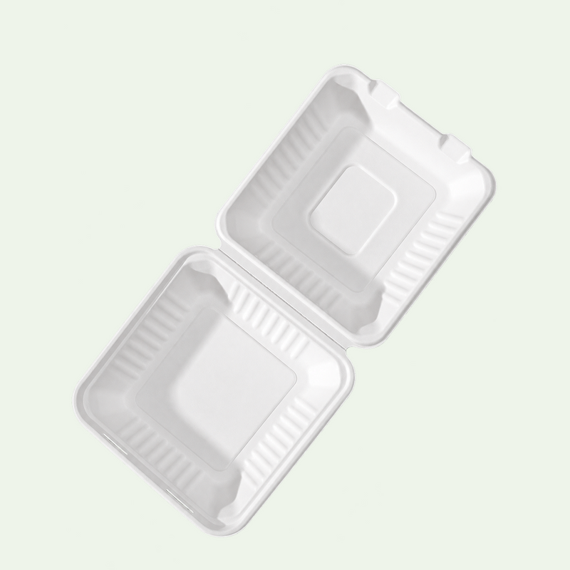 8 × 8-inch White 1-Compartment Sugarcane Bagasse Clamshell Box, 210 x 200 x 63 mm (200 pcs) – Ideal for Rice, Vegetables & Noodles