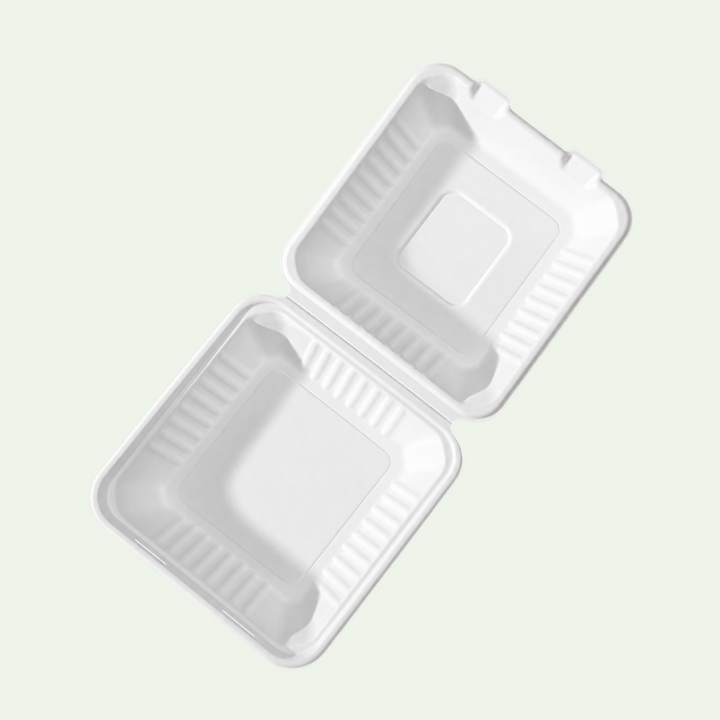 8 × 8-inch White Deep Clamshell Food Container, Sugarcane Bagasse, 210 x 200 x 78 mm (200pcs) - Suitable for Restaurants & Takeaway