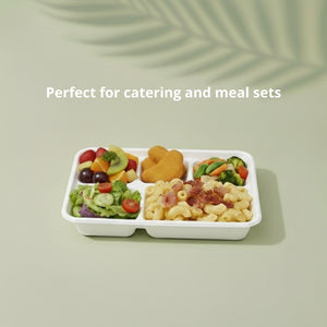White 5-Compartment Tray, Sugarcane Bagasse, 260 x 210 x 25 mm (500 pcs) - Suitable for Restaurants, Catering & School Canteens