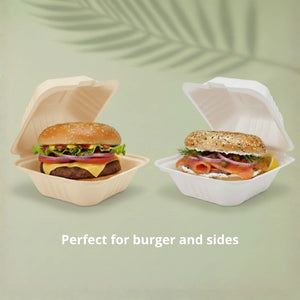 6" White Burger Box, Sugarcane Bagasse Takeaway Clamshell, 150 x 150 x 40/78 mm (500 pcs) - Suitable for Restaurants & Food Trucks