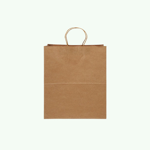 Brown Kraft Paper Bag with Handle, 28 x 15 x 28 cm (500 pcs) - Suitable for Restaurant Bulk Packing & Retail Shopping