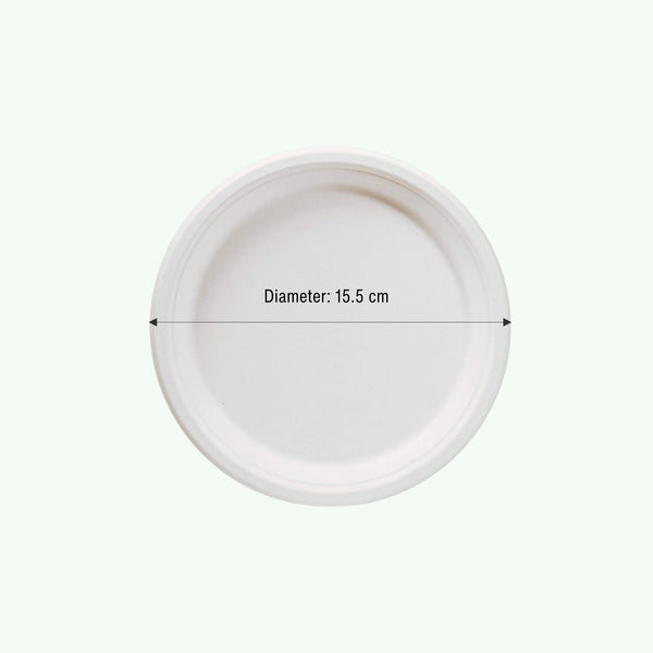 6" White Round Plate, Sugarcane Bagasse, 155 x 15 mm (1000 pcs) - Suitable for Restaurants & Catering