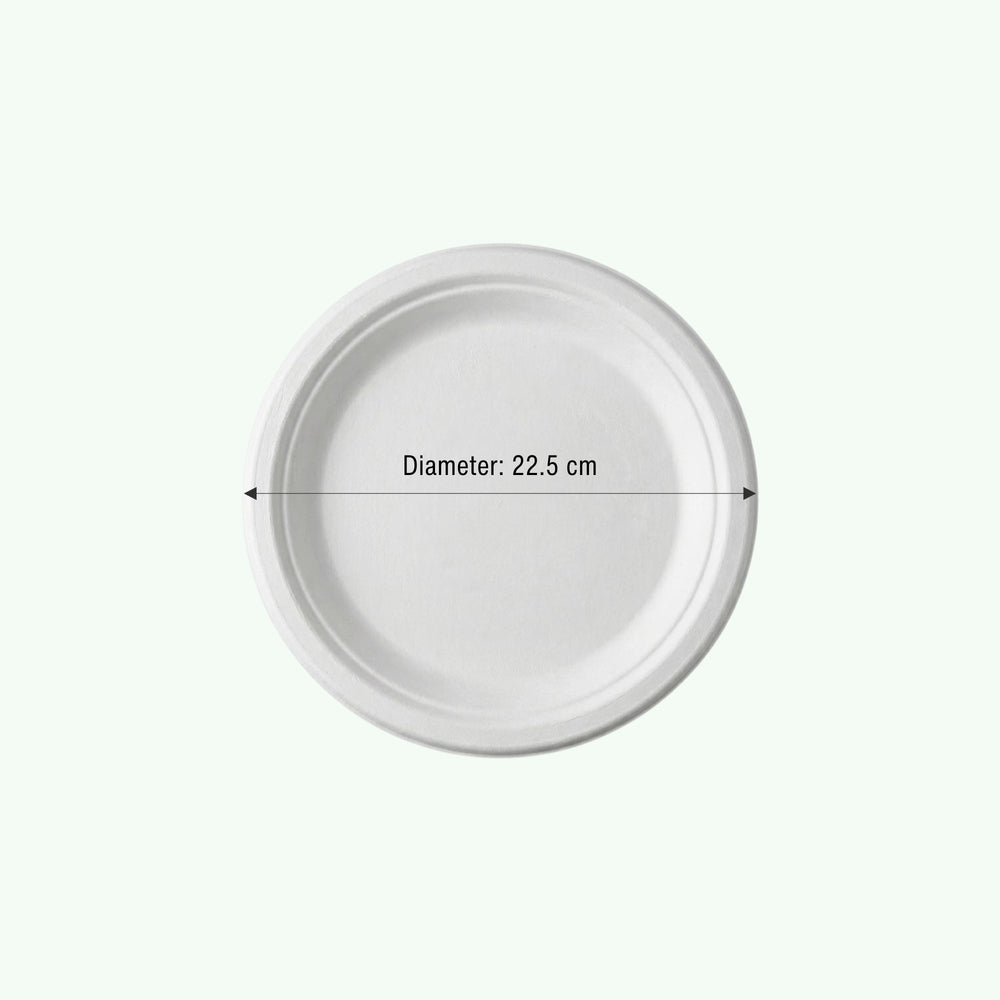 9" White Round Plate, Sugarcane Bagasse, 225 x 17 mm (500 pcs) – Suitable for Restaurants & Catering