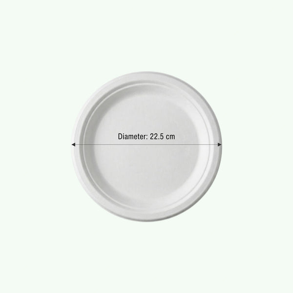 9" White Round Plate, Sugarcane Bagasse, 225 x 17 mm (500 pcs) – Suitable for Restaurants & Catering