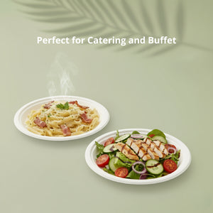9" White Round Plate, Sugarcane Bagasse, 225 x 17 mm (500 pcs) – Suitable for Restaurants & Catering