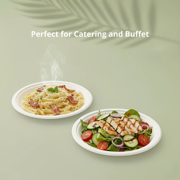 9" White Round Plate, Sugarcane Bagasse, 225 x 17 mm (500 pcs) – Suitable for Restaurants & Catering