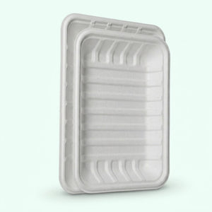 Biodegradable Bagasse Meat Tray White 215x150x27mm (600 pcs) – Ideal for Supermarkets, Butchers & Food Retailers