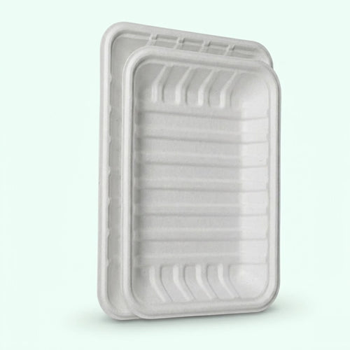 Biodegradable Bagasse Meat Tray White 215x150x27mm (600 pcs) – Ideal for Supermarkets, Butchers & Food Retailers