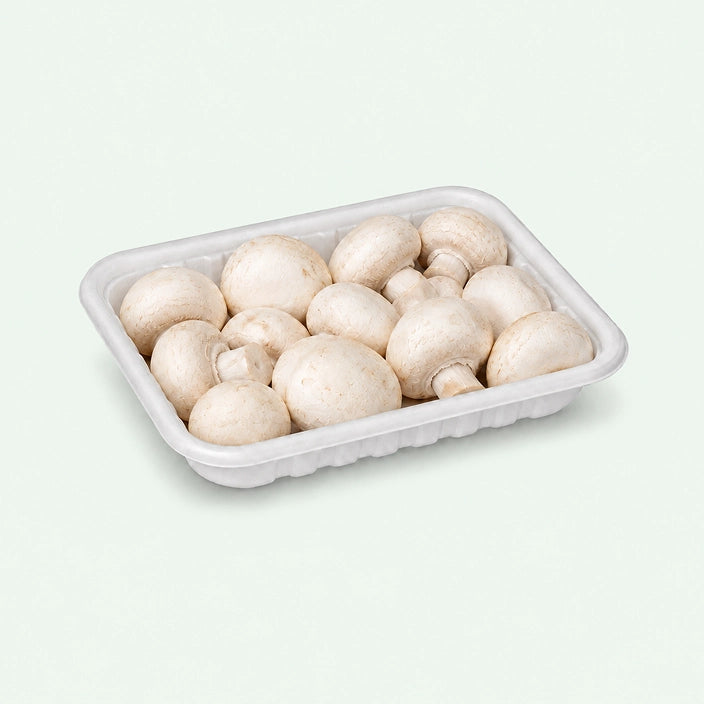 215x150x27mm White Biodegradable Bagasse Meat Tray (600 pcs) – Ideal for Supermarkets, Butchers & Food Retailers